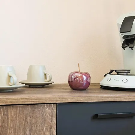 Smartes Microapartment * Eibenstock